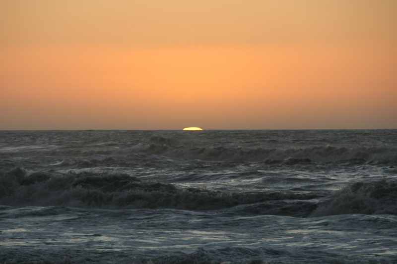 Nieuw-Zeeland 2011 - 1385